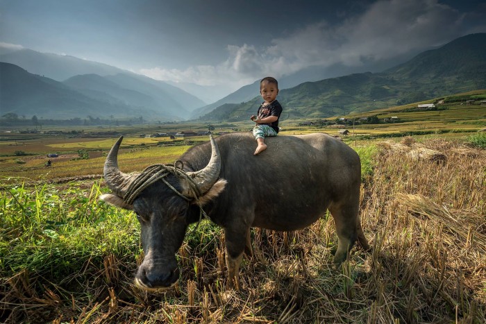 Вьетнам ,Vietnam