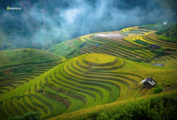 Вьетнам ,Vietnam