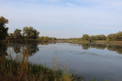 photo, road, nature, ukraine