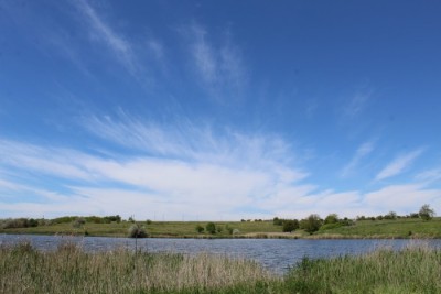 photo, road, nature, ukraine