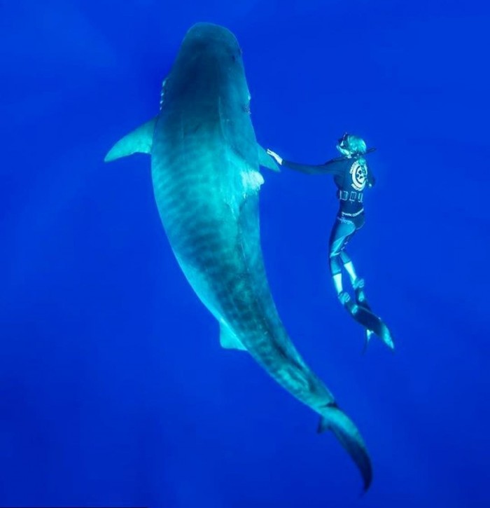 Ocean Ramsey